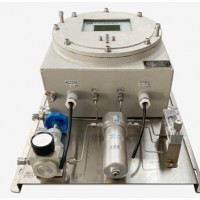 NK-300Ex型防爆式氫氣