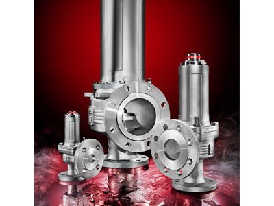 適用于工業(yè)領(lǐng)域的TüV/CE 工業(yè)認(rèn)證角式安全閥圖片1