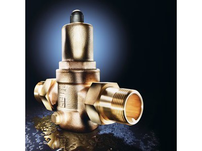 用于建筑領域飲用水系統 的安全閥門圖片1