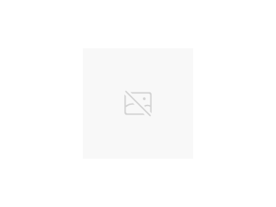 科里奧利質量流量計 LF-CT常規型圖片5